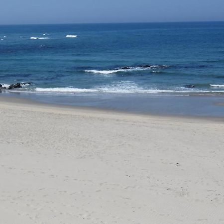 Afife & Insua Beach Apartment 维亚纳堡 外观 照片